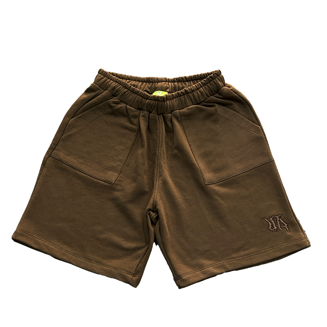 UA Brown Shorts