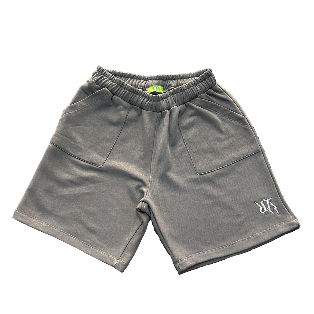 UA Grey Shorts