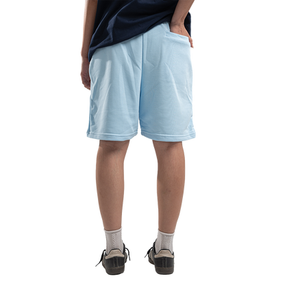 UA Baby Blue Basic Short