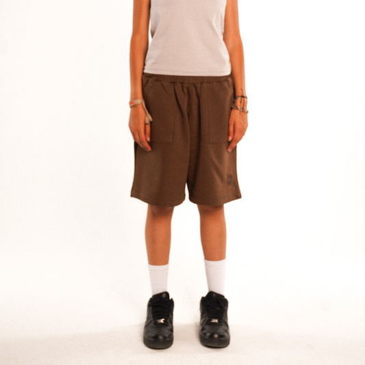 UA Brown Shorts
