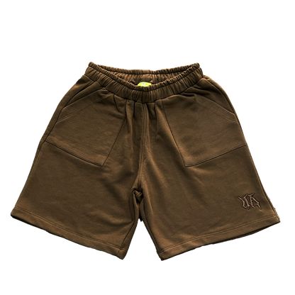 UA Brown Shorts